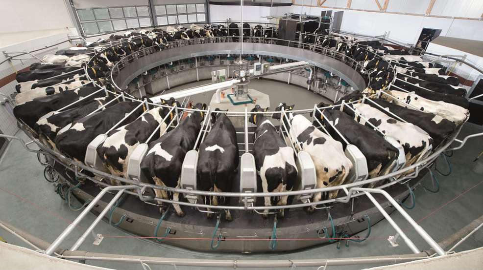 what is dairy technology